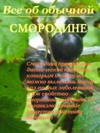 Иван Дубровин, Все об обычной смородине